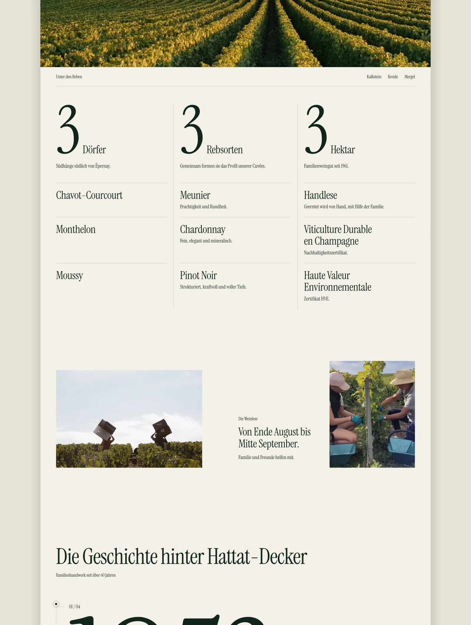 fullsite desktop 3
