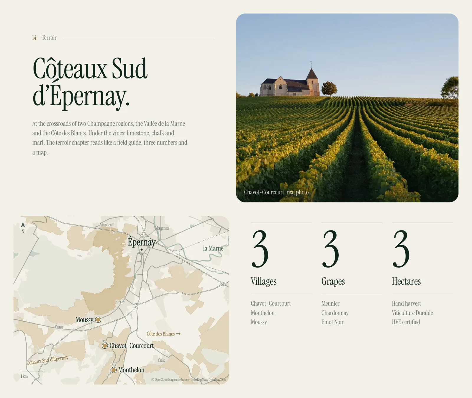 Hattat-Decker — terroir